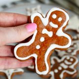 Fitness proteinové perníčky vánoční cukroví recept Bajola