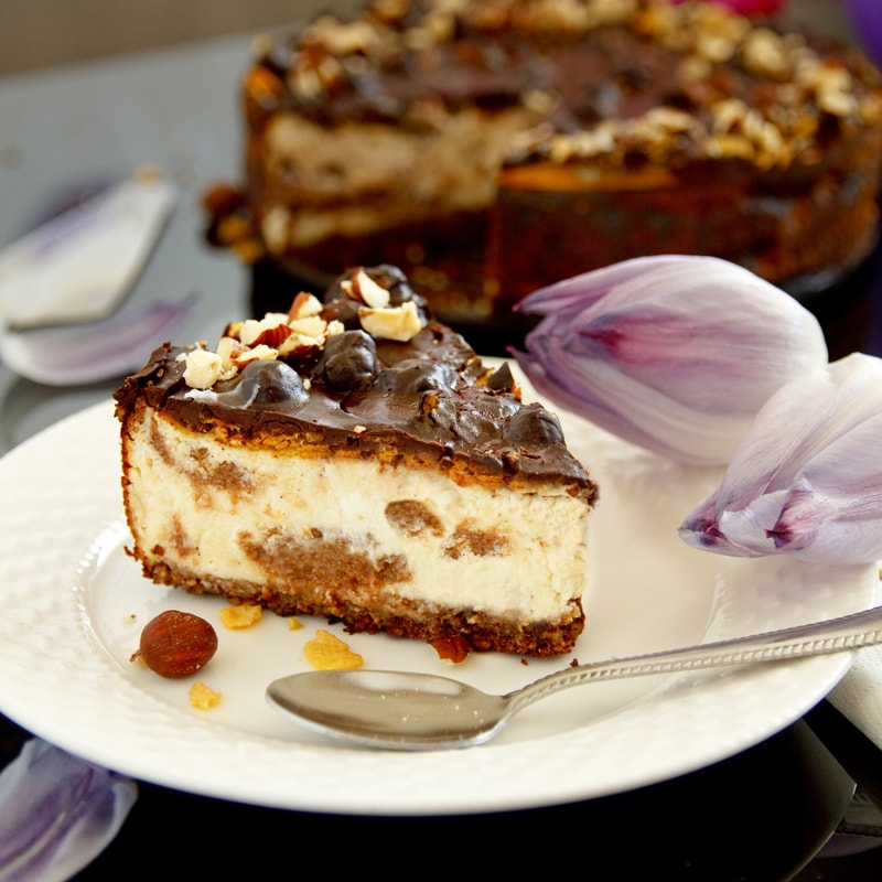 Fitness lískoořiškový cheesecake dort s čokoládou - zdravý recept Bajola