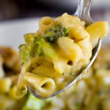 Fitness sýrová omáčka na těstoviny s kuřecím masem - recept Bajola