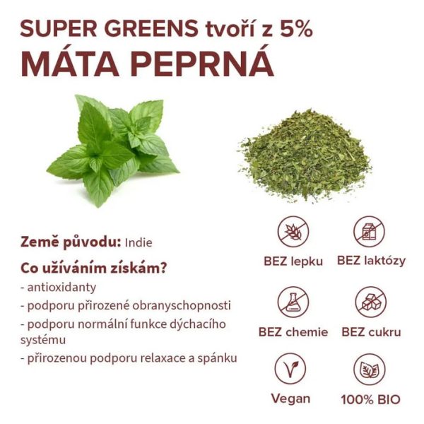 Máta supergreens Blendea