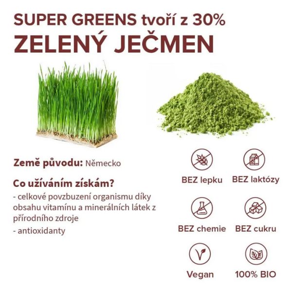 Zelený ječmen supergreens Blendea
